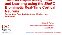 Object Recognition and Learning using the BioRC Biomimetic Real