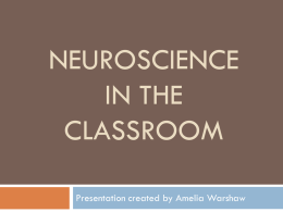 Neuroscience in the Classroom