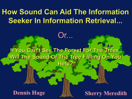 How Sound Can Aid The Information Seeker In
