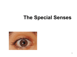 Special senses powerpoint - Bremen High School District 228