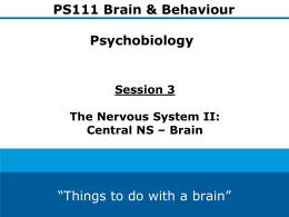 The Nervous System: Overall Organisation