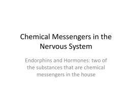Chemical Messengers in the Nervous System