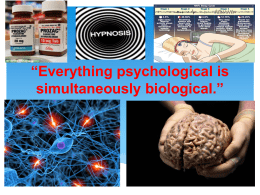 Everything psychological is simultaneously biological.