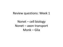 Review questions: Week 1 Nonet * cell biology Nonet * axon