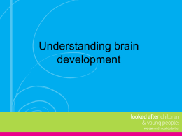 Early brain development - We Can and Must Do Better