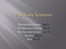 Skeletal, Muscular, Nervous (5days) - Circle