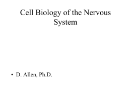 Cell Biology of the Nervous System