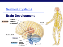 Nervous System - AP Bio Take 5