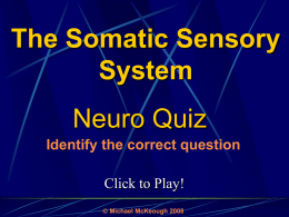 The Somatic Sensory System: Quiz Game