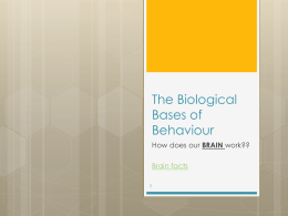 The Biological Bases of Behaviour