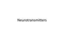 Neurotransmittersand drugsx - New Paltz Central School District