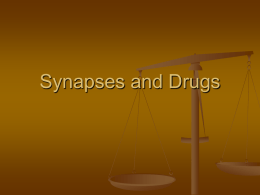 10Synapses_and_Drugs 13