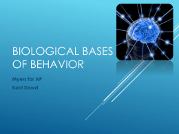 Unit 3 PowerPoint Biological basis of behavior-