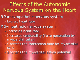 PowerPoint - Honors Human Physiology