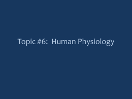 Topic #6: Human Physiology