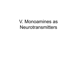Nigrostriatal Dopamine System