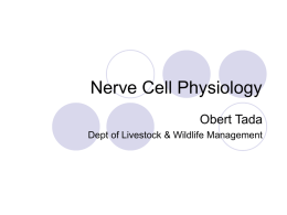 Nerve Cell Physiology
