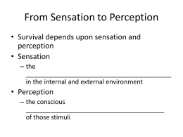 From Sensation to Perception