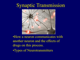 Module 9: Synaptic Transmission