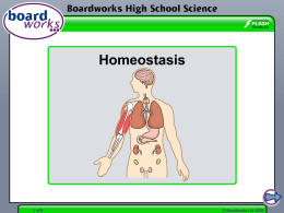 Homeostasis in Body Systems