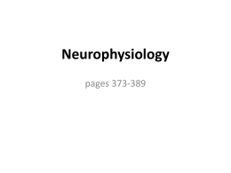 Neurophysiology - Learn District 196