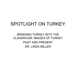 Spotlight on Turkey - Clark County Courts