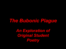 to the "bubonic plague workshop step-by