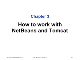 How to Use NetBeans and Tomcat (The Text Chapter 3)