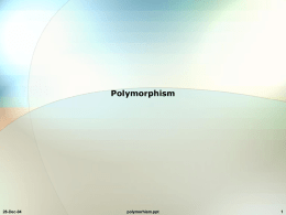 Polymorphism - Harbor Mist