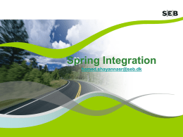 SEB-springintegration