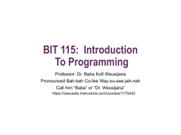 BIT 115: Introduction To Programming - Canvas