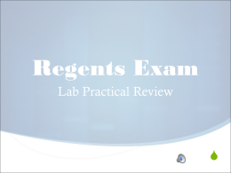Lab Practical Review