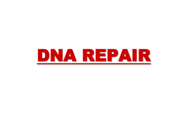 DNA REPAIR