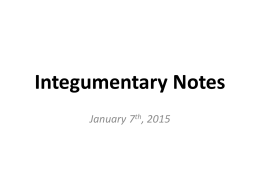 Integumentary Notes