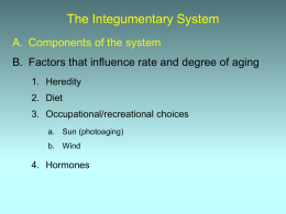 Chapter 4 The Integumentary System