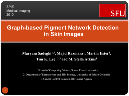 A Novel Skin Lesion Segmentation Method for Difficult Cases