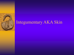 Integumentary AKA Skin