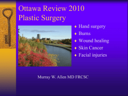 Review 2004 : Plastic Surgery