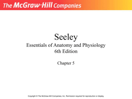 Seeley Essentials of Anatomy and Physiology 6th