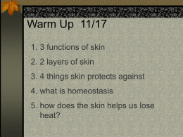 WARM UP 11/21