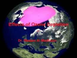 Effects of Ozone Depletion