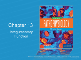 Chapter 13 Integumentary Functionx