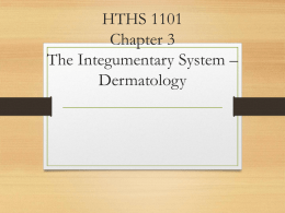 HTHS 1101 Module 3 The Integumentary System