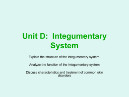 Integumentary System - Catawba County Schools