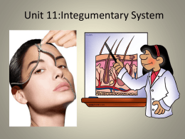 Functions of the Integumentary System