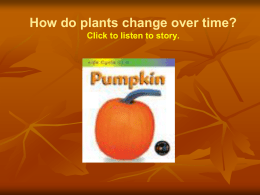 Life Cycle of Pumpkin