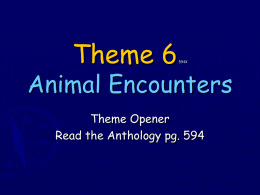 Theme 6 Grizzly Bears PPT