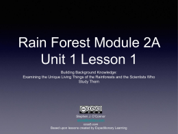 Rain-forest-Module-2A-Unit-1-Lesson