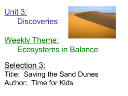 Sand Dunes Powerpoint