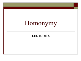 Lexical homonyms